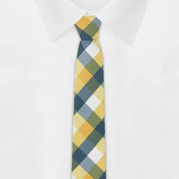 Tossido Men Checked Broad Tie image 4