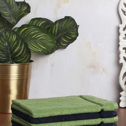 SPACES Set Of 4 Solid Pure Cotton 500 GSM Hand Towels-16