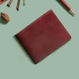 Hidesign Men Brown Leather Two Fold Wallet-47