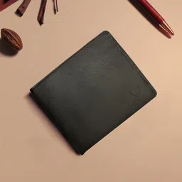 Hidesign Men Black Textured Leather Two Fold Wallet-45