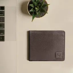 Hidesign Men Brown Textured Leather Two Fold Wallet-26