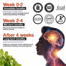 Health Veda Organics Plant Based B-Complex,  120 tablet(s)  Unflavoured  image 3