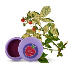 PERR CHERRY Macaron Lipstick With Vitamin E - Raspberry Chocolate-27