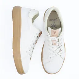 plaeto Men Sneakers-image-51