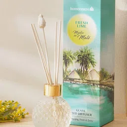 Home Centre Transparent Redolence Glass Mojitos In Male Fresh Lime Reed Diffuser Set-1