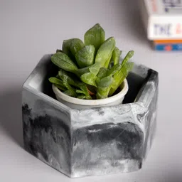 Greyt Hexo White & Black Textured Hexagonal Planters-image-2