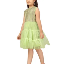 BAESD Embellished Net A-Line Frock image 2