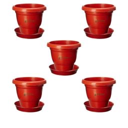 8 Inch Plants Pot with Saucer Tray-42