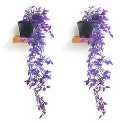 Kuber Industries Purple & Black 2 Pieces Artificial Plants With Pot-31