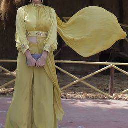GloballyRonakRBafna Embellished Pleated Crop Top With Palazzo Pants Co-Ords-image-13