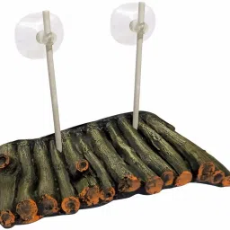 Bamboo Perch For Turtle-62