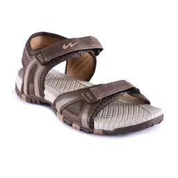 Campus Men Brown Solid Sports Sandals-image-77