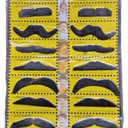 Full Beard Fake Moustache-picture-24