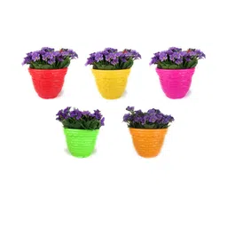 Amaze Pot 8 Inch for Indoor & Outdoor Plants-image-77