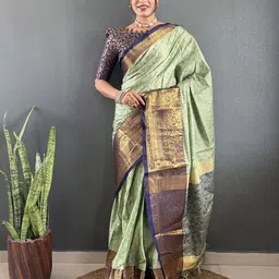 Panzora Woven Design Zari Saree-image-34