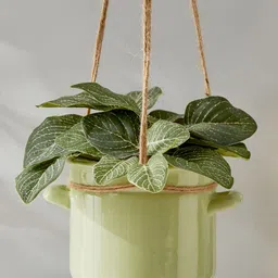 Home Centre Gloria Green Ceramic Hanging Planter-30