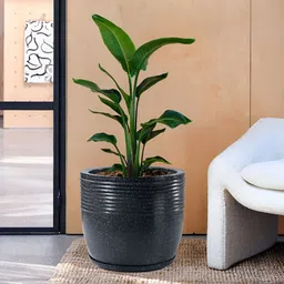Myntra Elegant Homes Black Textured Marble Unbreakable UV Protected Planter-27