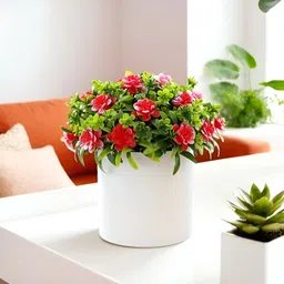 The Better Home Green 1 Pieces Core With Pot image 1