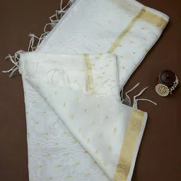 Soch Ethnic Motifs Woven Design Dupatta with Zari-13