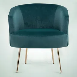 nestroots Green & Gold Toned Velvet Accent LoungeChair-image-95