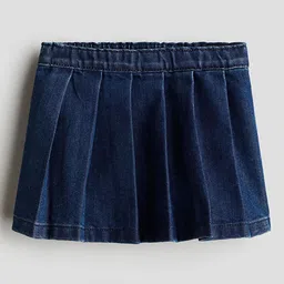H&M Pleated Skirt-11
