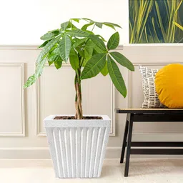 Myntra Elegant Homes White Textured Marble Unbreakable UV Protected Planter-13