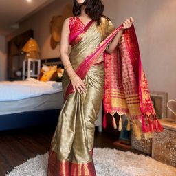 VILLAGIUS Woven Design Zari Saree-image-75