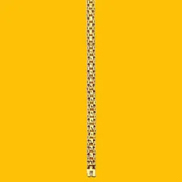 Dynamic Retail Global Men Gold-Plated Link Bracelet-picture-43