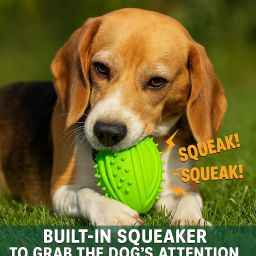 Rugby Chew Rubber Ball For Dog-image-80