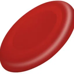 3532 Plastic Sports Frisbee-image-63
