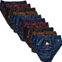 Pack of 10 Women Hipster Multicolor Panty-image-45