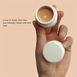Easily Blendable Concealer For Face Makeup With Matte Finish Concealer-43
