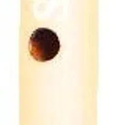 G (Mini) Scale Natural Indian Bamboo Flute Bamboo Flute-image-68