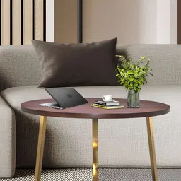 Metalsmith Brown & Yellow Round Shaped Coffee Table-picture-12