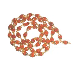 Divine souvenirs Multi Alloy Necklace-46