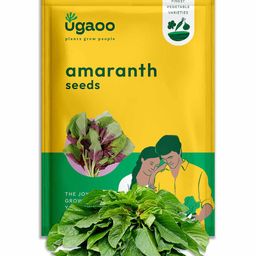 UGAOO Amaranth Seeds-24