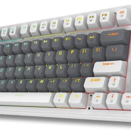 EVOFOX Ronin TKL RGB Mechanical Wireless Tenkeyless Desktop Keyboard Compatible with Desktop, Laptop, Mac-28