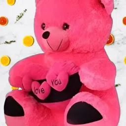 3 Dil Teddy Bear Soft Toy- 42 cm-10
