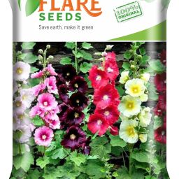 HOLLYHOCK MIXED Seed-image-7