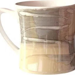 cp-19 tea cups set of 6 cream/grey Tea Urn-image-42