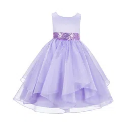 Wow Princess Net A-Line Maxi Dress-image-59