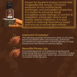 ULLASSA Set Of 4 Cinnamon Bark Essential Oil - 10 ml Each image 2