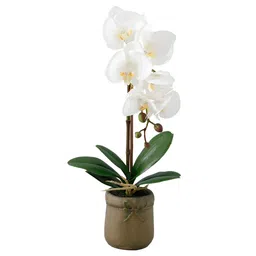 UMAI White 1 Pieces Artificial Flower With Pot image 2