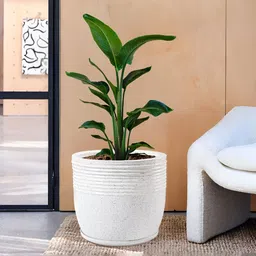 Myntra Elegant Homes White Textured Marble Unbreakable UV Protected Planter-18
