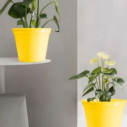Decorcity Yellow Metal Cylinder Planters-22
