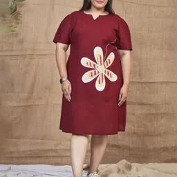 Curvy Lane Embroidered A-Line Dress-image-6