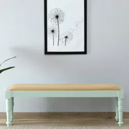 mudramark from pepperfry Joaquin Mango Wood Large Bench In Canary Green Finish-picture-45