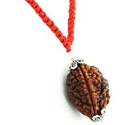 RAVIOUR LIFESTYLE Girls Brown Jewellery Set-48