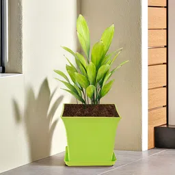 Kuber Industries Green Textured Flower Planters With Tray-image-5