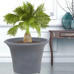 nora Round Trunk Grey Polyethylene Floor Planter-picture-19